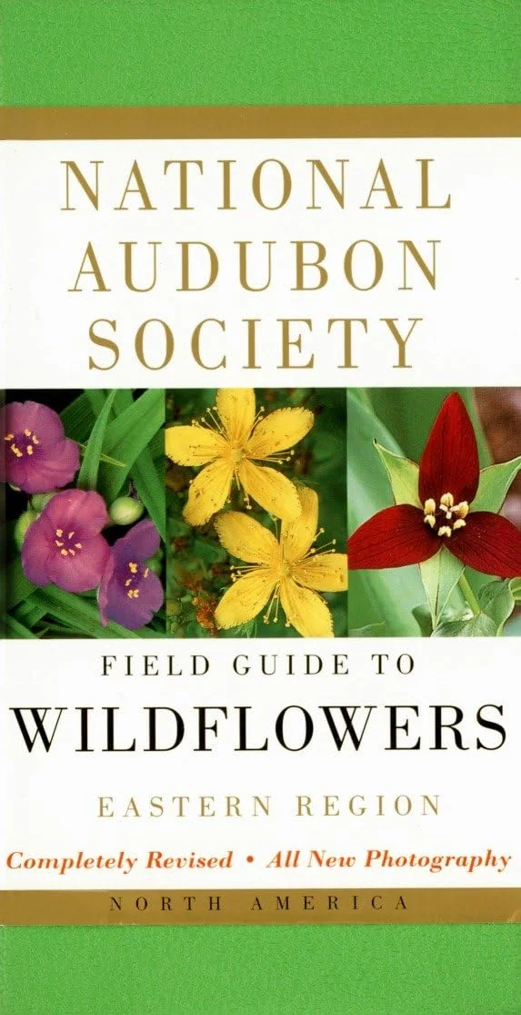 National Audubon Society / Knopf Audubon Eastern Wildflowers Field Guide — original seller photograph