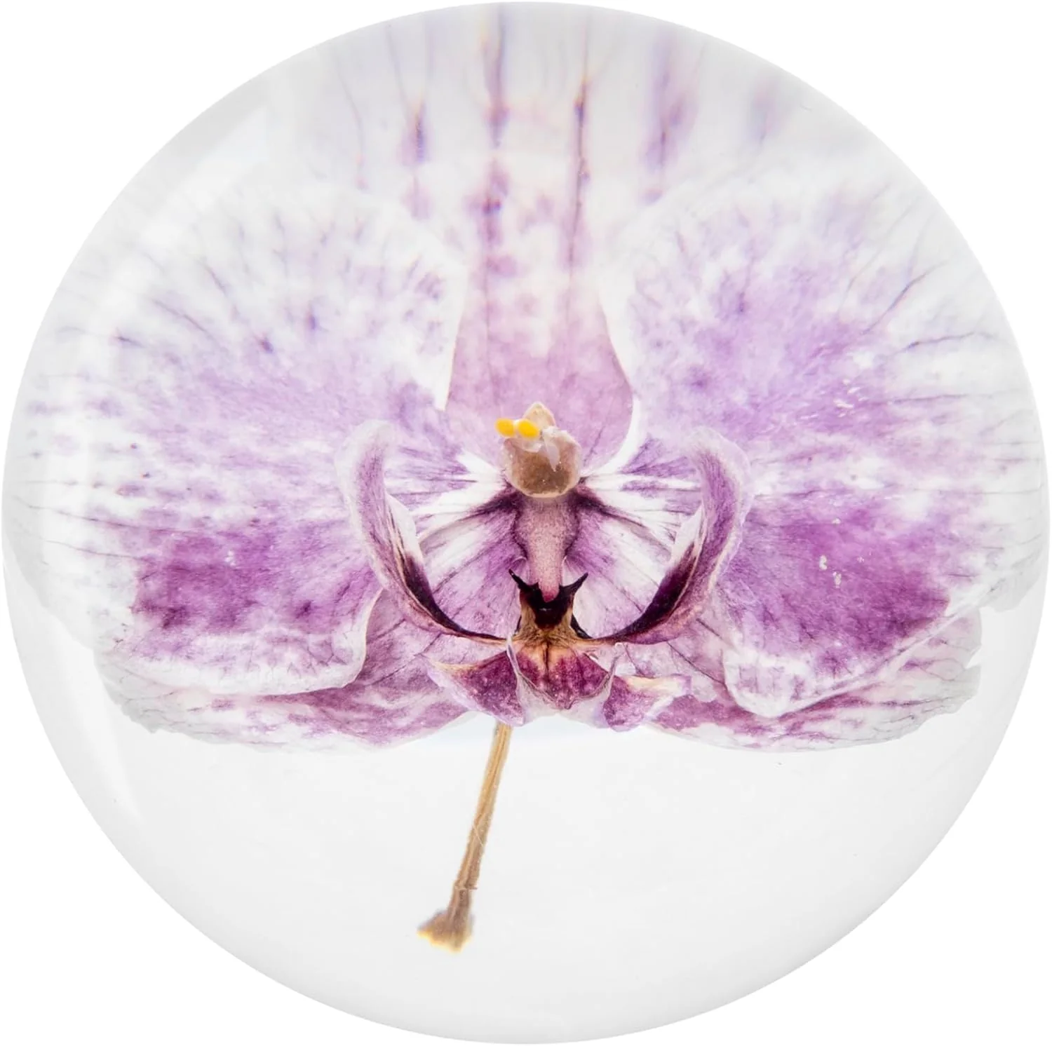 NouvoCrescent NouvoCrescent Orchid Resin Paperweight — original seller photograph